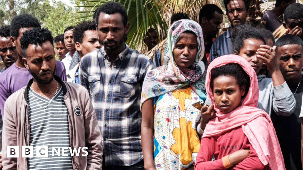 Ethiopia’s Tigray conflict: Civilian bloodbath warning as offensive escalates