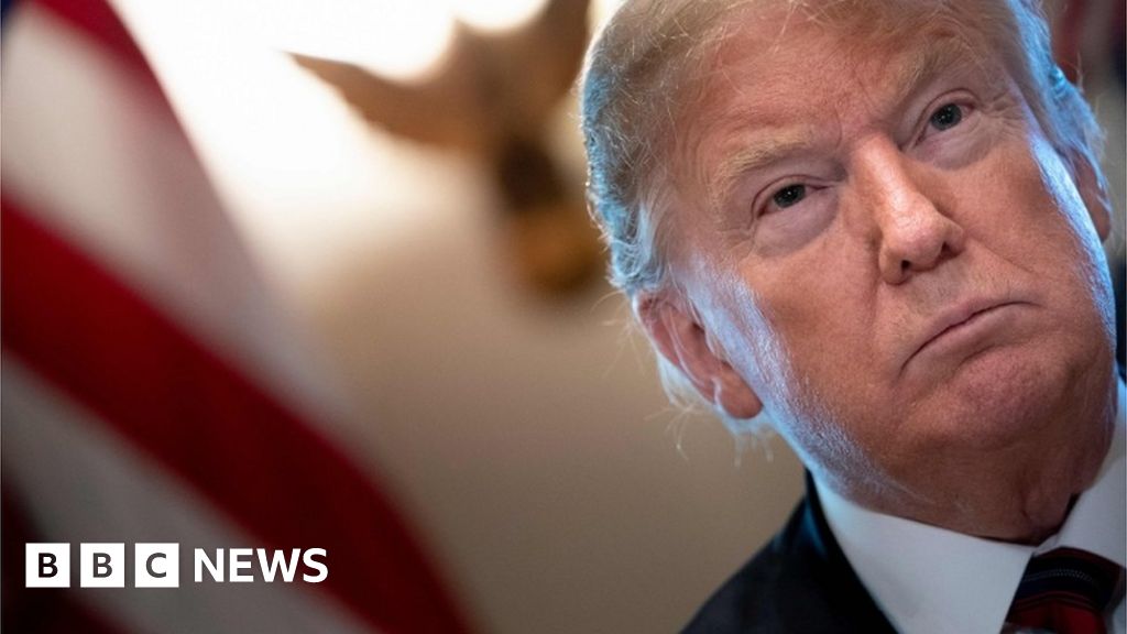 FBI 'checked if Trump was working for Russia'