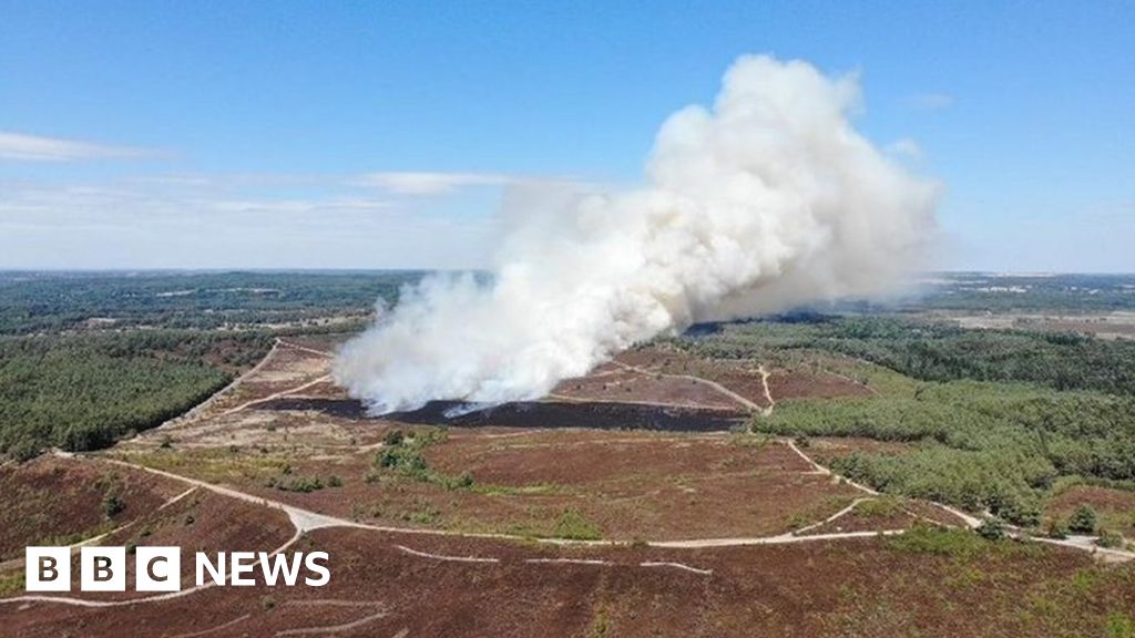 Surrey Fire Chief Warns Of Bonfire Risk After 2022's Wildfires - BBC News