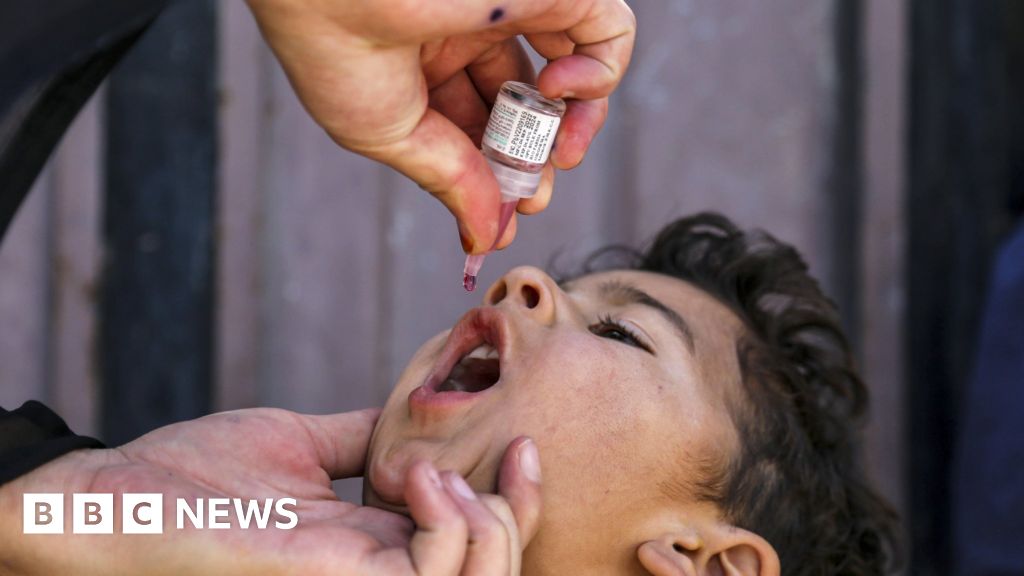 Super-engineered vaccines created to help end polio