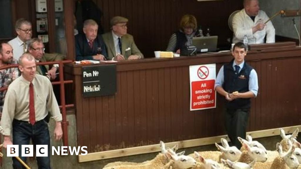 Deal secures Longtown and Dumfries auction marts' futures BBC News