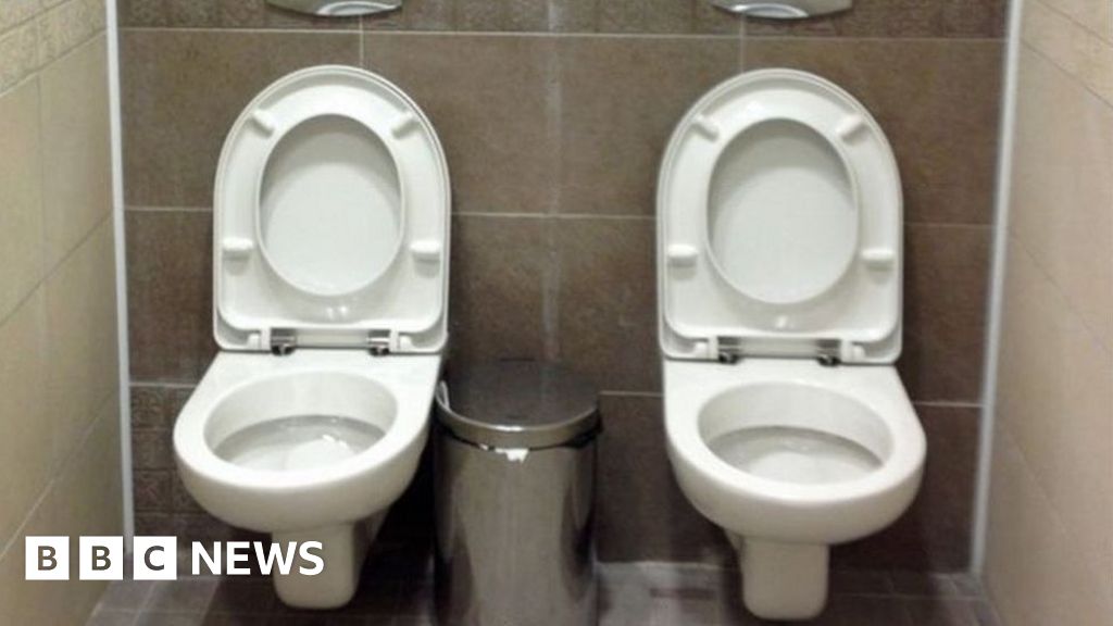How twinning your toilet is a lifesaver BBC News
