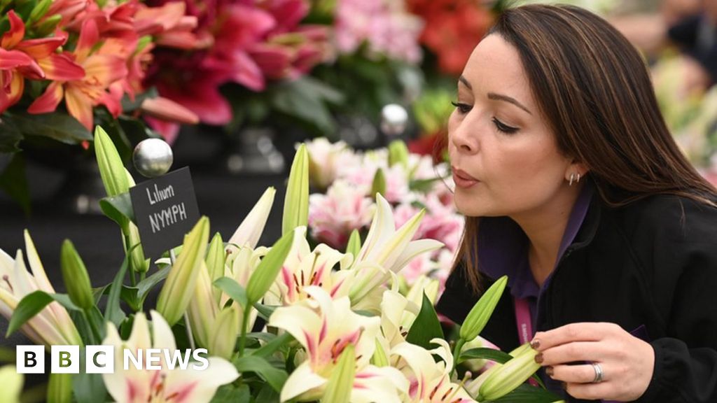Blooms and blossoms: The Chelsea Flower Show in pictures