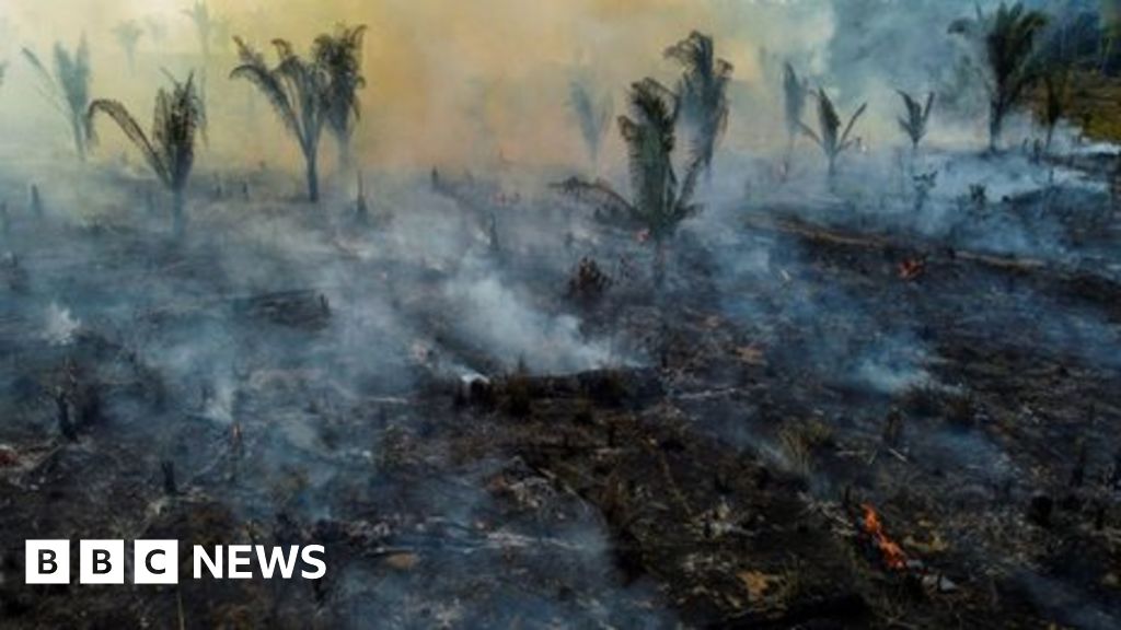 Climate change: World way off target to end deforestation