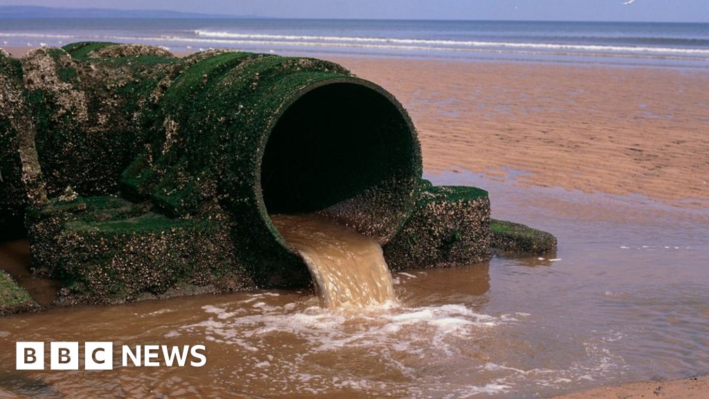 Fresh wave of sewage pollution hits Britain’s beaches