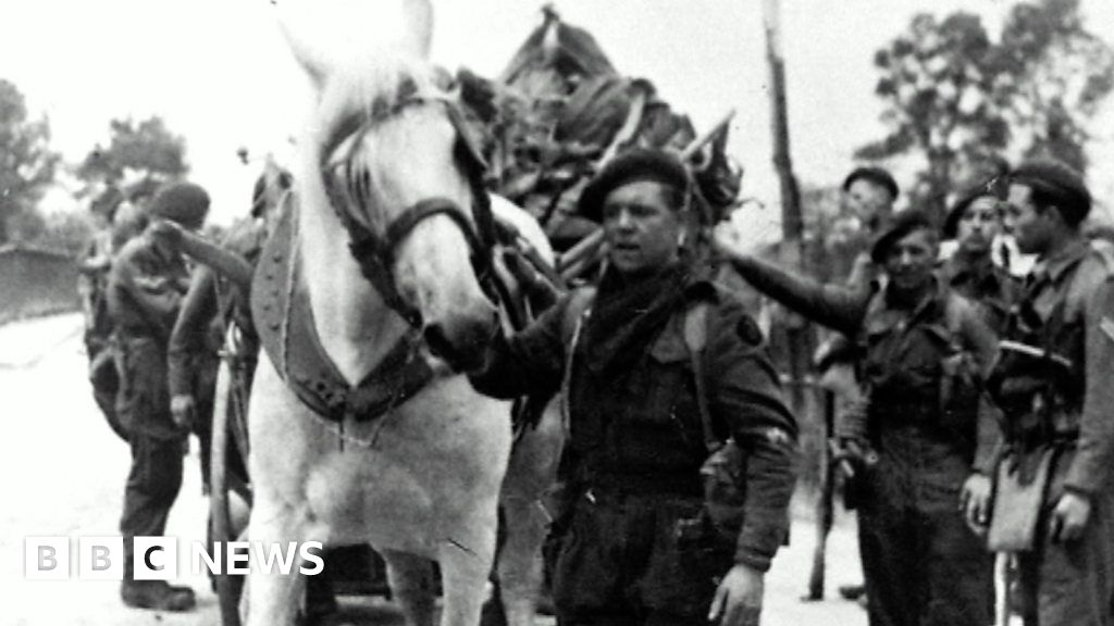 D-Day: A French horse called George was an unlikely hero