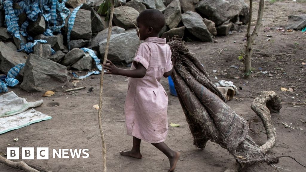 Belgische kinderen worden geconfronteerd met DNA-tests vanwege de angst voor ontvoering in Congo