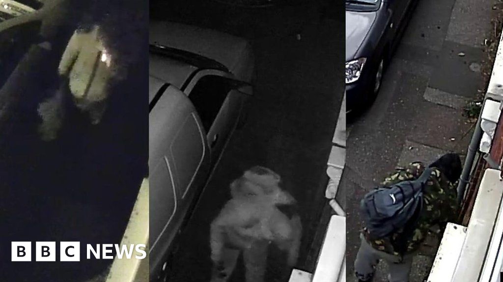 Milk thefts caught on camera in Ipswich