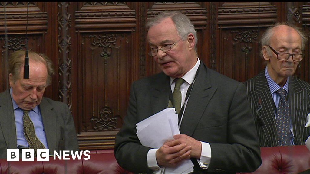 Are Hereditary Peers The Real Rebels BBC News    100541379 P06230cd 