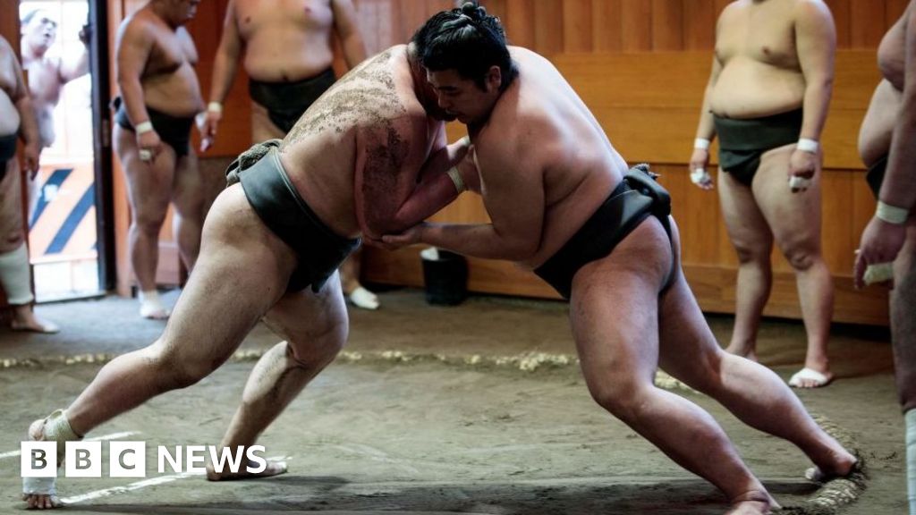 sumo wrestler