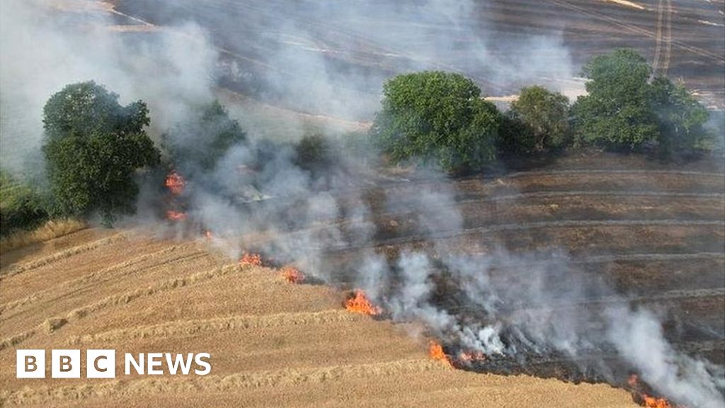 Marea Britanie nepregătită pe măsură ce incendiile de vegetație cresc, avertizează sindicatul pompierilor