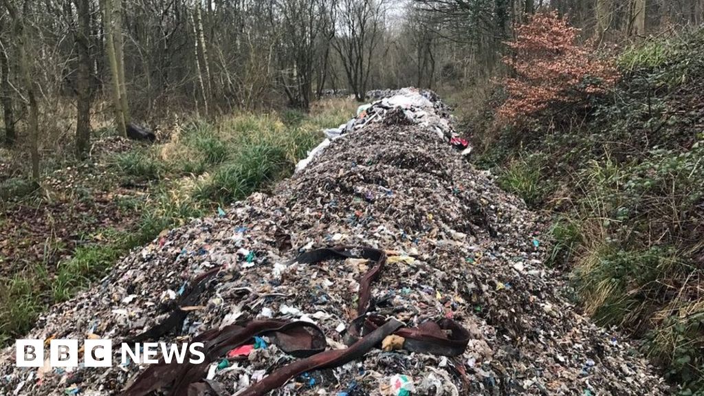 Waste dumped in wood near NewcastleunderLyme cleared BBC News