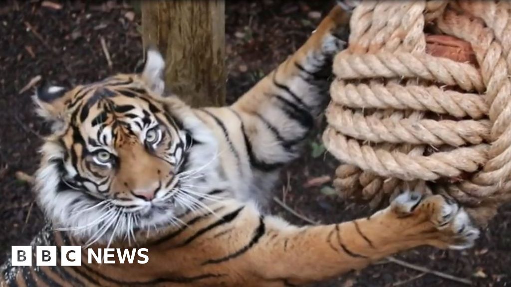 Dudley Zoo wants perfume donations for its animals - BBC News