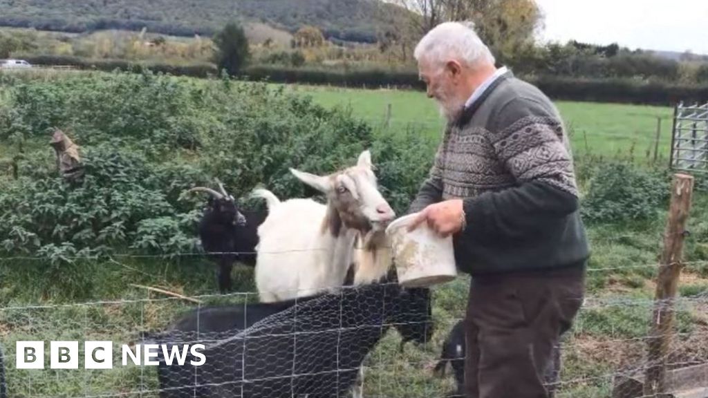 Pet goat 'killed for satanic ritual', owner says