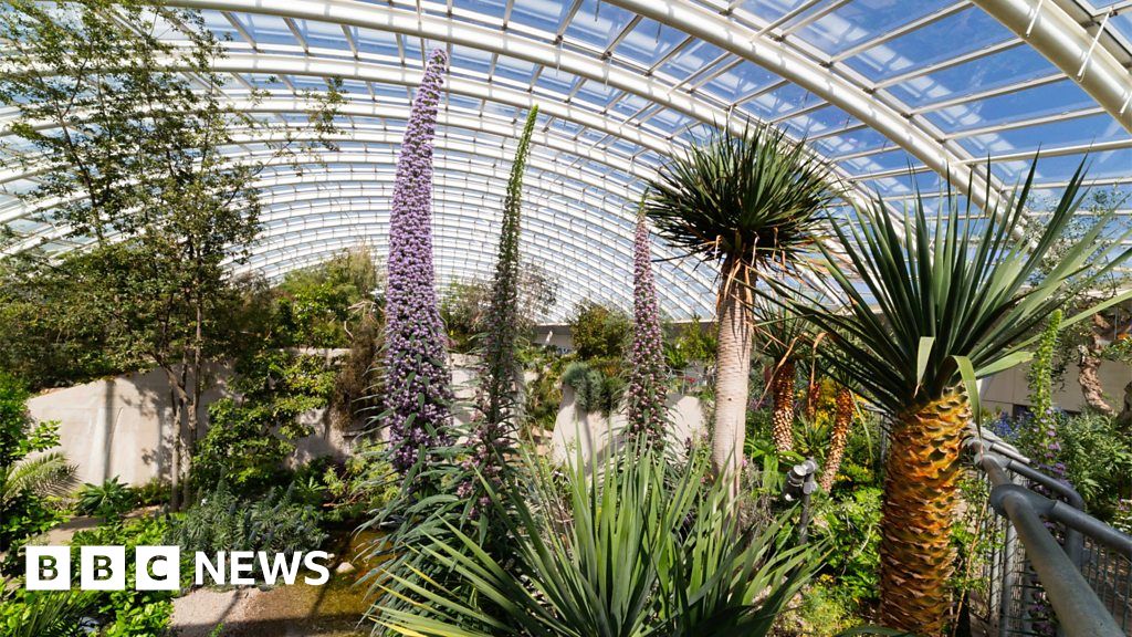 National Botanic Garden of Wales celebrates 20 years BBC News
