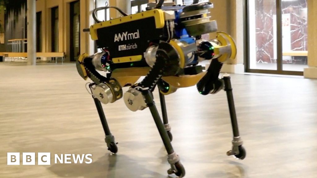 Rollerskating robot to the rescue