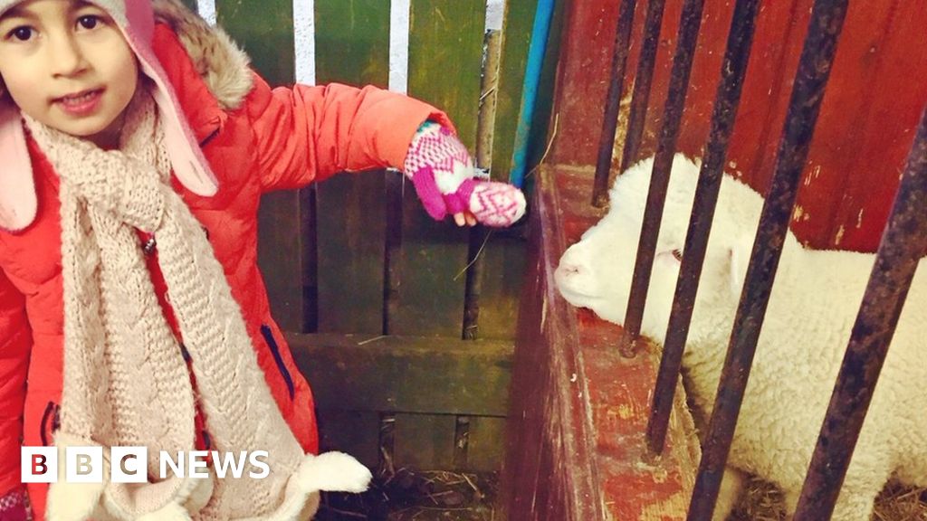 Gorgie City Farm: Ten buyers interested in liquidated site