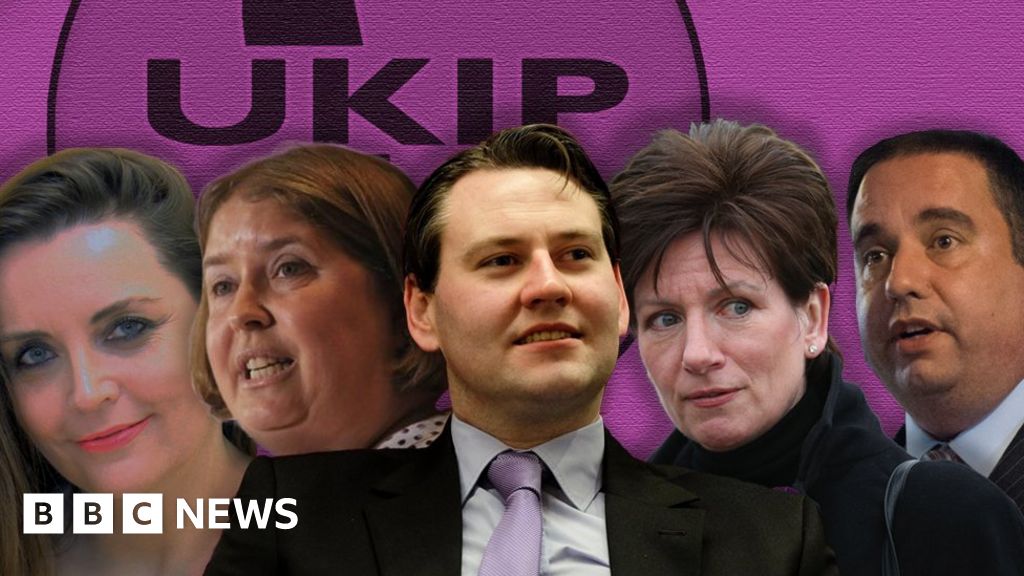 New UKIP Leader To Succeed Nigel Farage To Be Revealed   BBC News