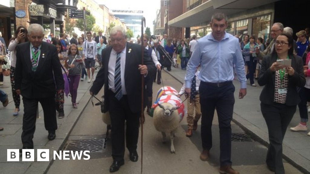 Exeter Chiefs freeman leads world cup sheep through city - BBC News