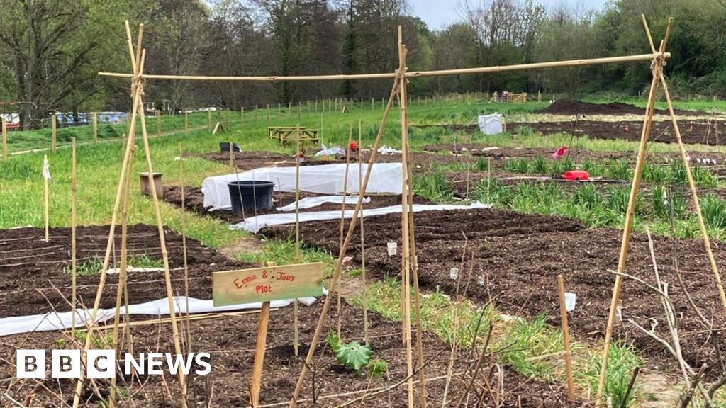 Plan for 700 allotments near Abbots Leigh voted down 