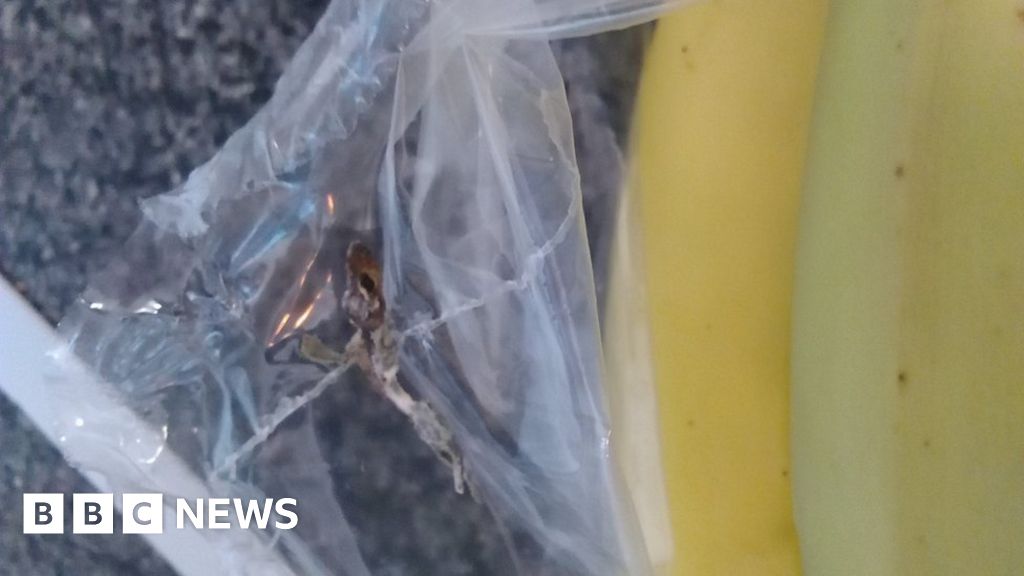 Lizard 'in bananas packet from Tesco' BBC News