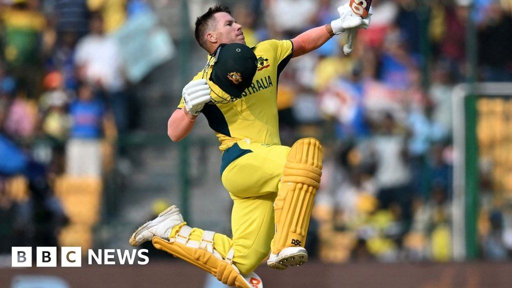 澳大利亚人 David Warner 从 ODI 板球退役