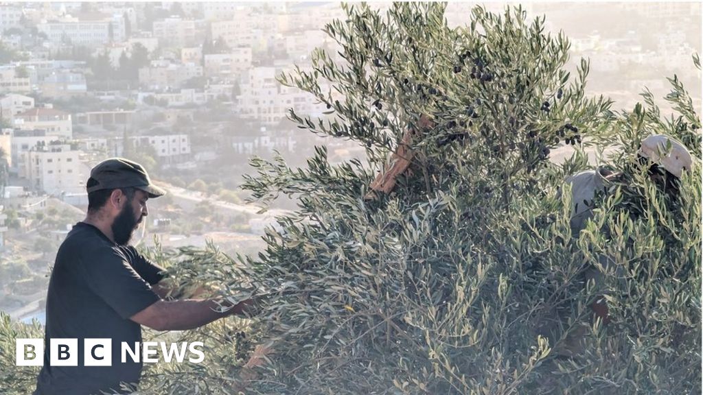 На хълм с изглед към Витлеем в окупирания Западен бряг