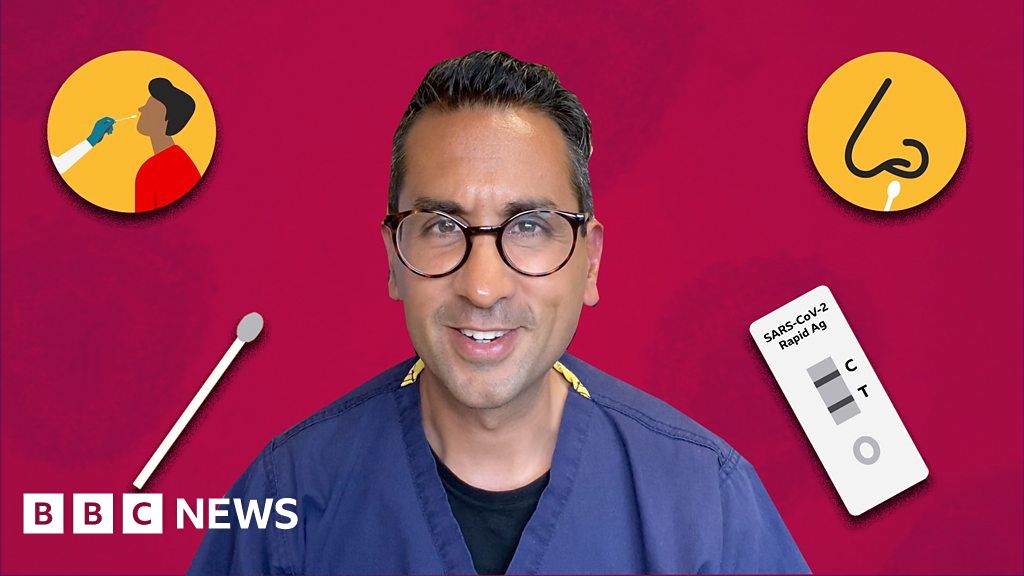 Covid How to do a rapid lateral flow test, explained in Punjabi