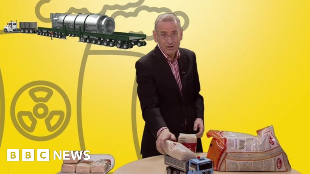 The nuclear industry a small revolution BBC News