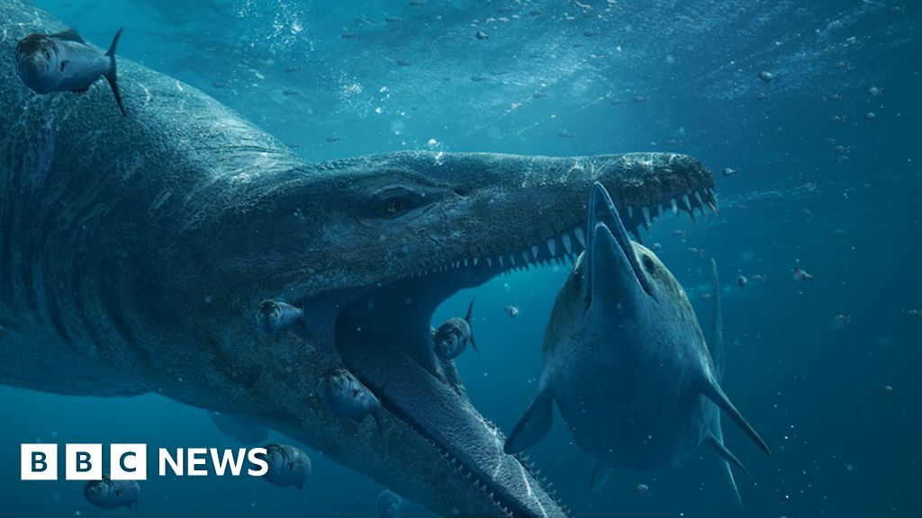 Colossal pliosaur sea monster skull on display in Dorset