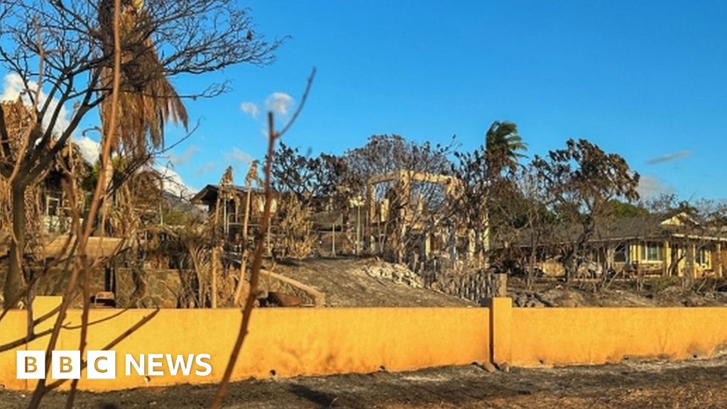 Пожар в Мауи: Семейства в Лахайна описват опустошение след горски пожар