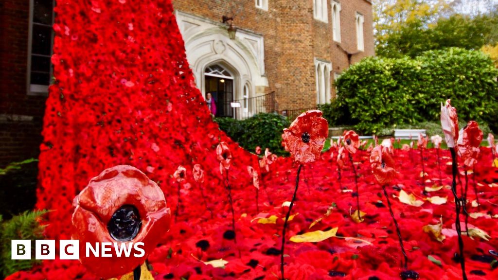 Hertford Castle poppy display a 'touching tribute' BBC News