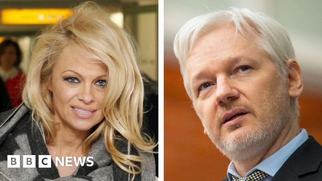 Pamela Anderson S Love For Julian Assange Bbc News