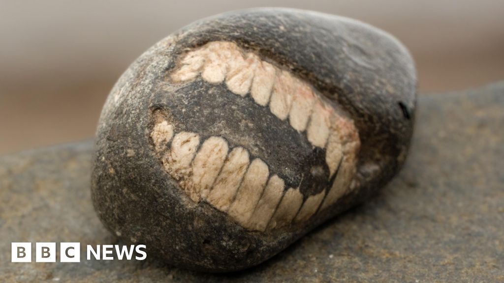 BBC News weekly quiz: Why was the mysterious fossil ‘smiling’?