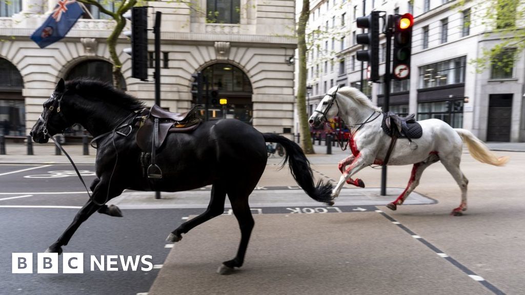 Cavalry horses in serious condition after bolting