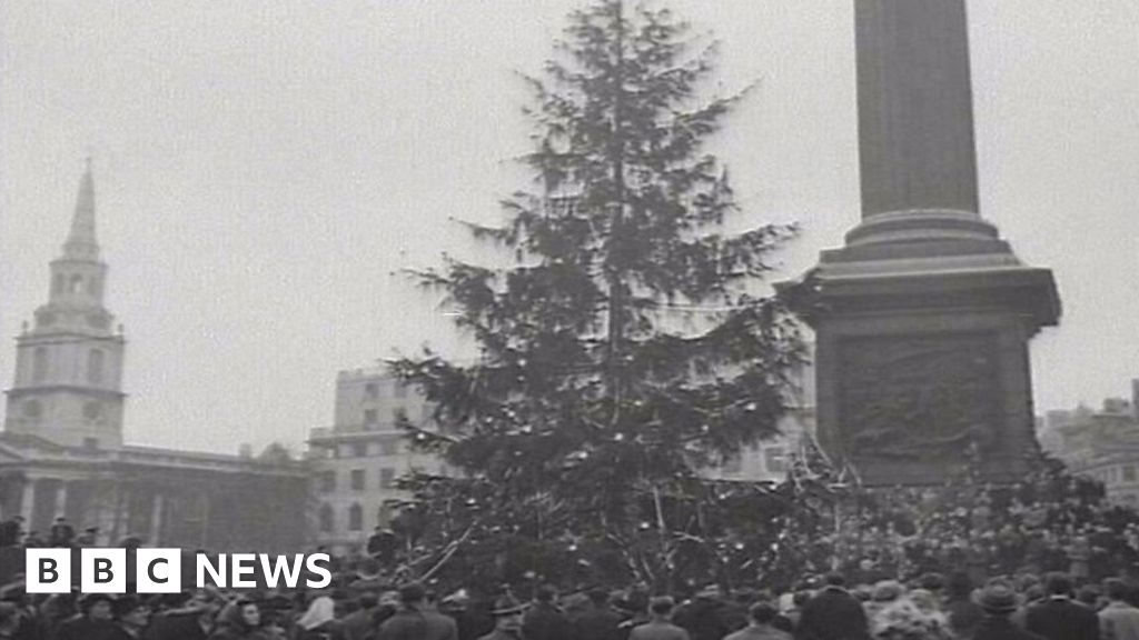 Trafalgar Square Christmas tree lit up for 70th year BBC News