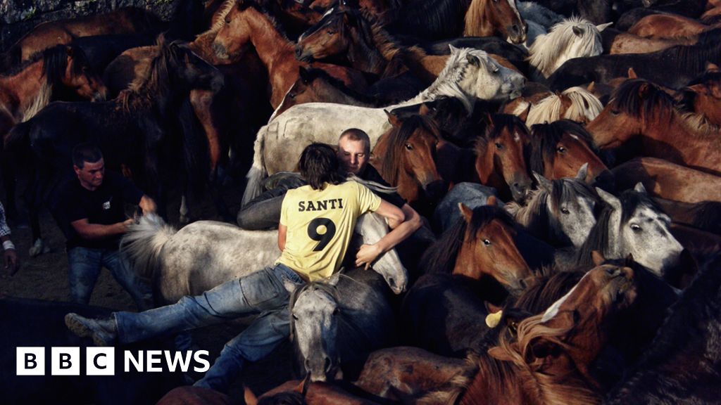 Global images from the EyeEm Photography Awards