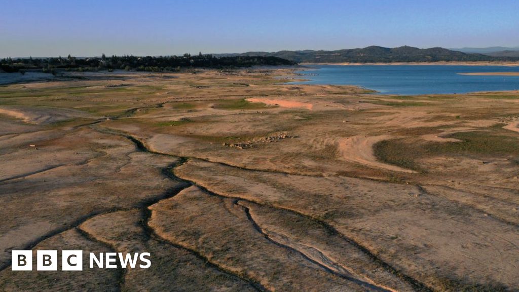 As a severe drought in California dries out lakes across the state, officials have found the remains of what they believe to be a 1960s plane crash.  