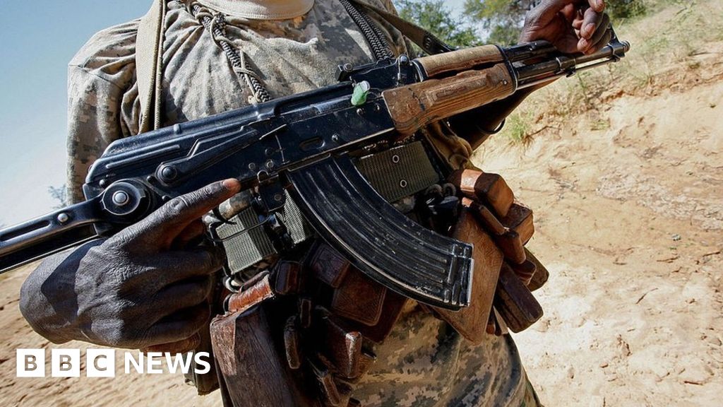 Sudan’s Darfur fighting: Why an accountant took up arms