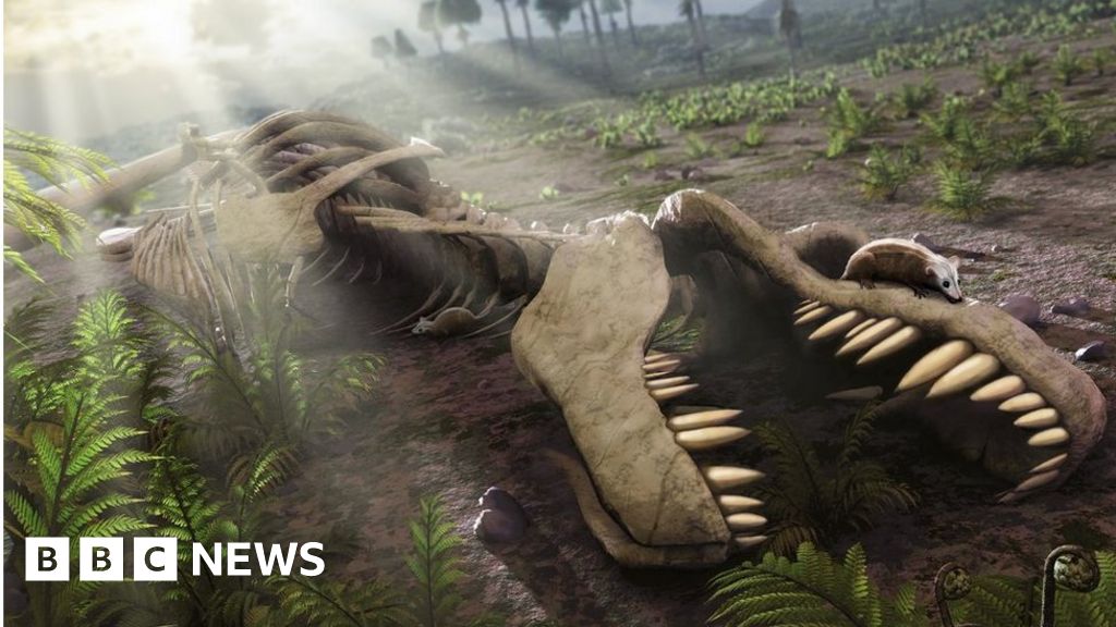 the earth before dinosaurs