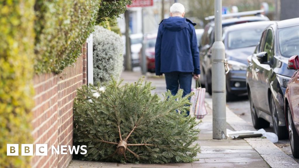 Jersey Hospice Christmas tree collection raises £45,000 BBC News