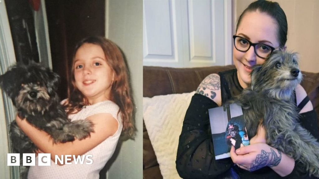 Woman unknowingly adopts dog she gave up as a child