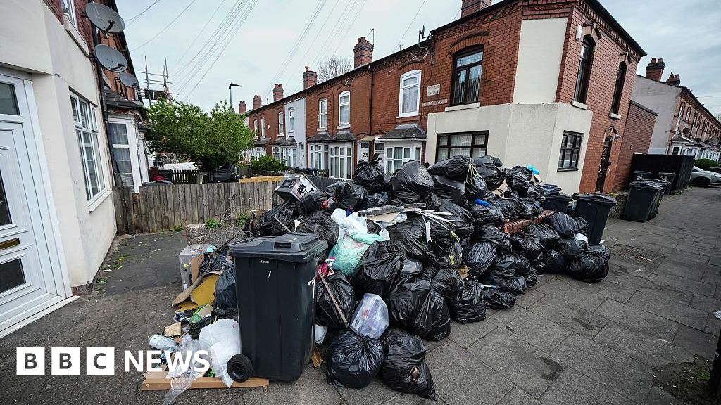 Birmingham bin collections not back to normal, politicians claim