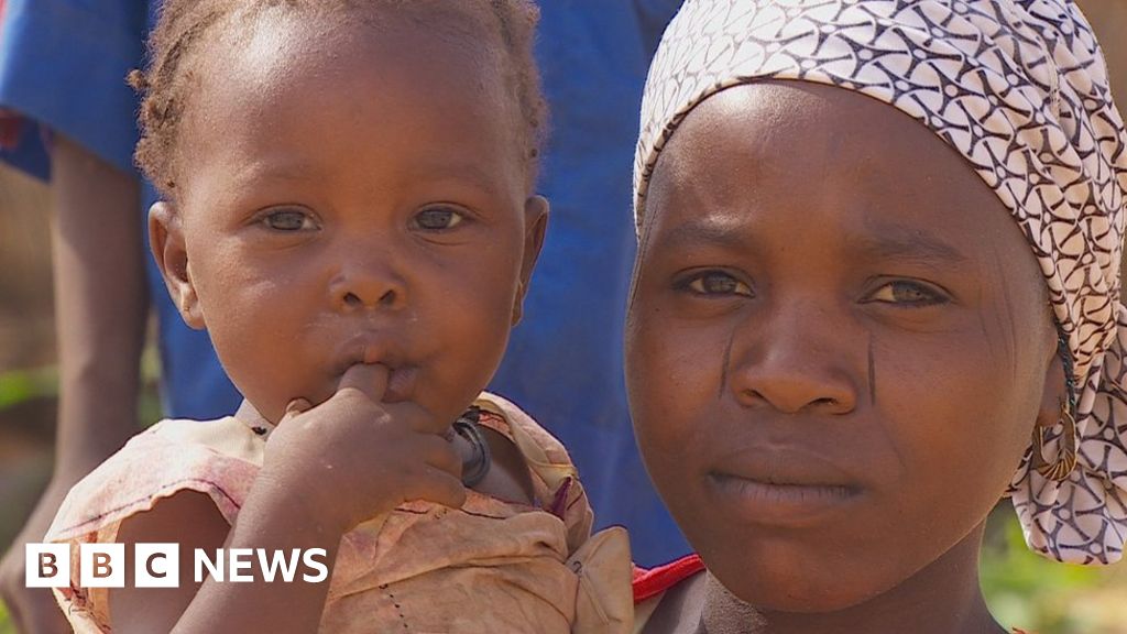 Can Niger break out of its cycle of poverty? - BBC News