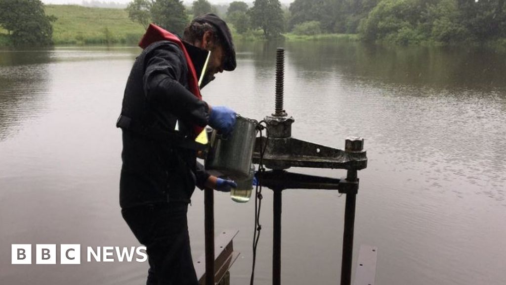 Essay mills review picture