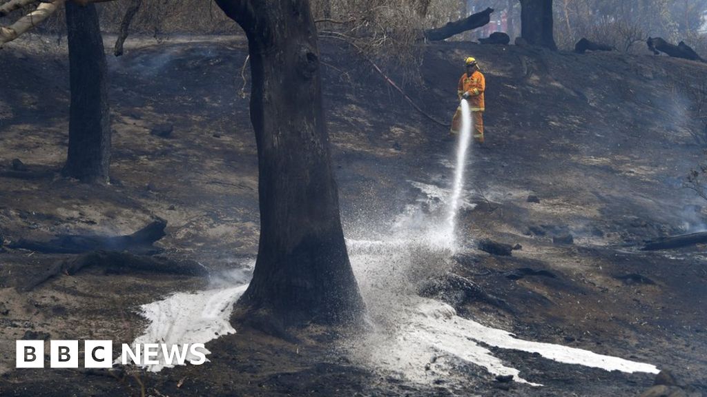 Australia fires worsen as every state hits 40C