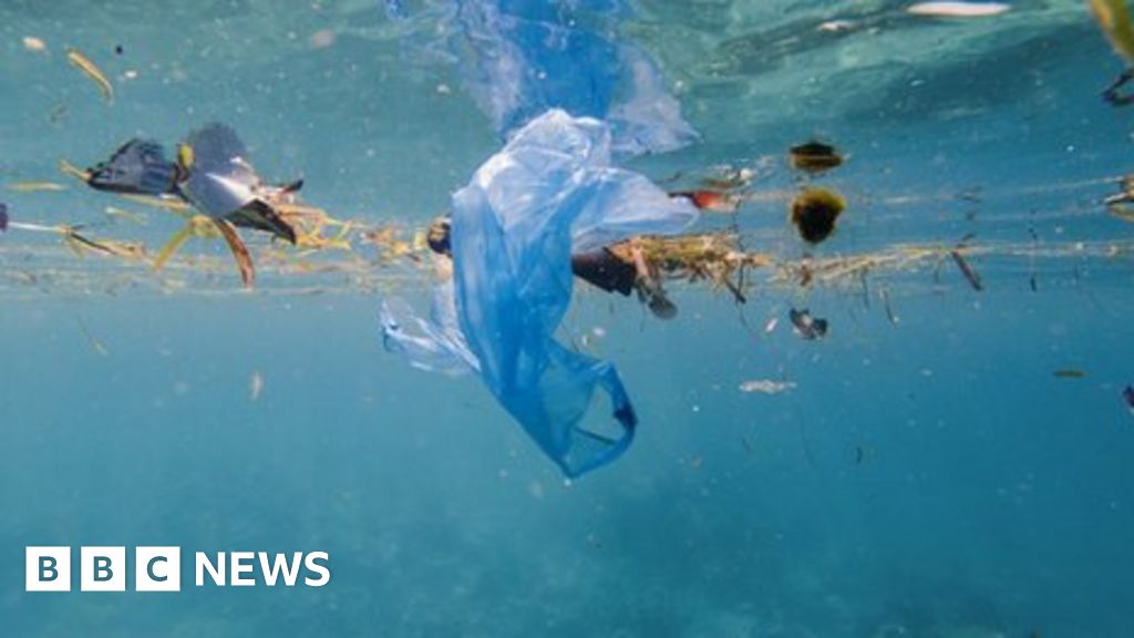BP Plastic ban 'could have unintended consequences' BBC News