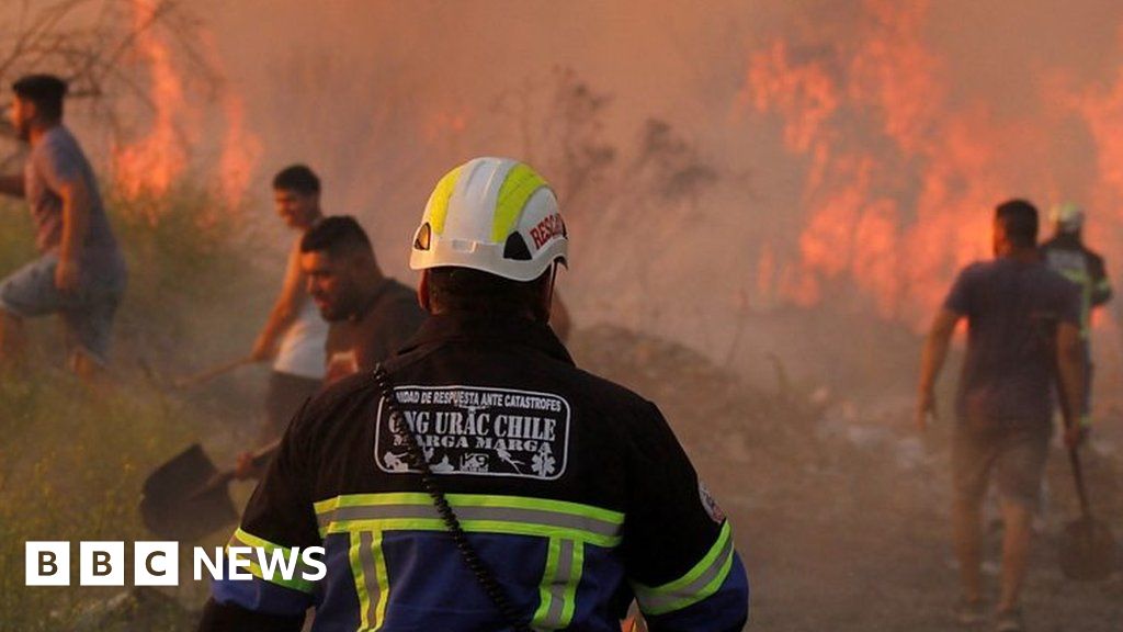 Wildfires rip through Chile as temperatures soar