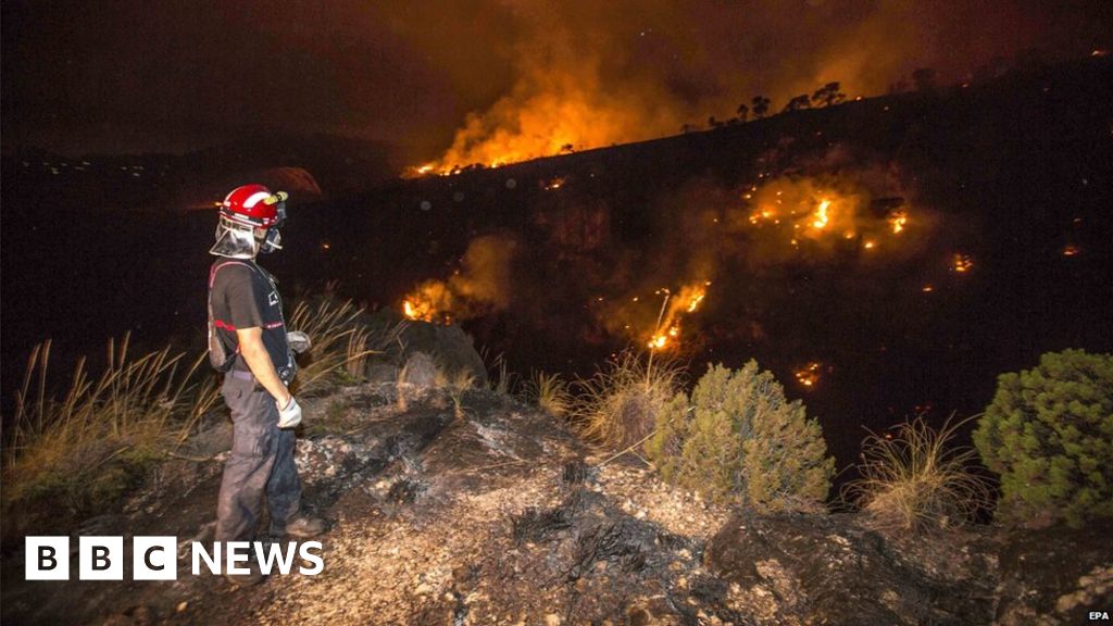 Spain wildfires threaten homes amid Europe heatwave warnings BBC News