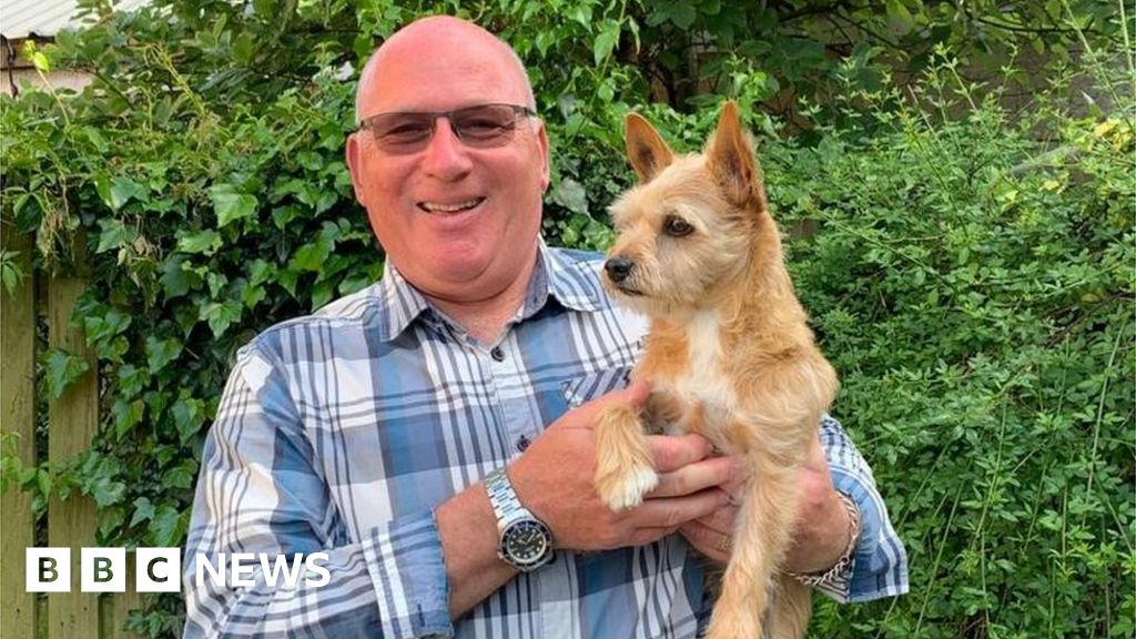 Thirsk man hit by falling tree branch says dog saved his life